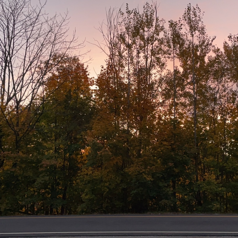 Meet your Posher, Brooklynn